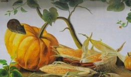 人民大学网红吃瓜,揭秘校园热点背后的故事